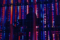 LS5_3389