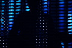 LS5_3398